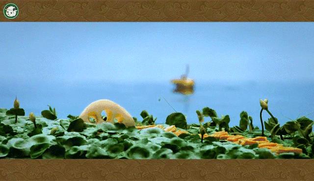 赵圆圆奥美广告,奥美公司的广告创意总监