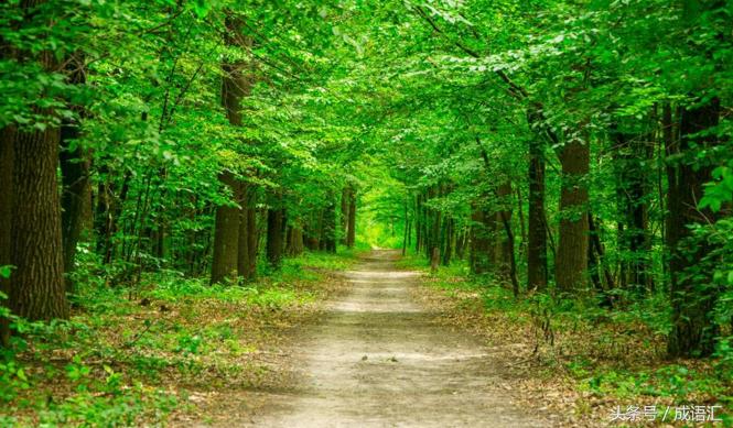 描写乡村风景的成语,描写风景的成语摘抄