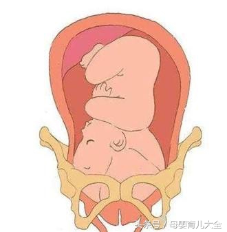 怀孕38周了怎么还没动静,孕38周宫缩频繁轻微腹痛多久能生