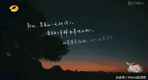 陈柏霖斑马外套同款,陈柏霖同款鞋子