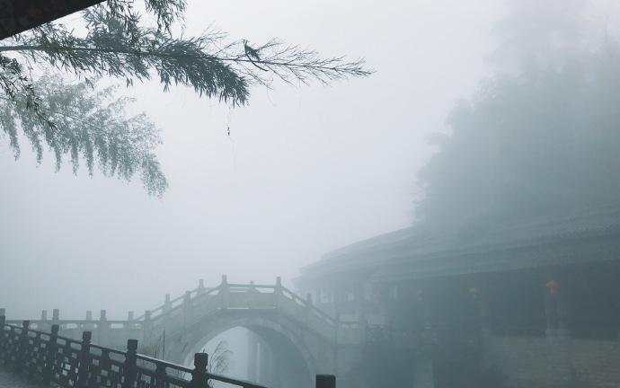 永川茶山竹海,茶山竹海重庆