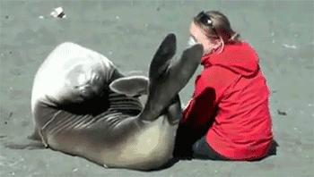 卖萌简直不能忍，它才是网红界NO.1