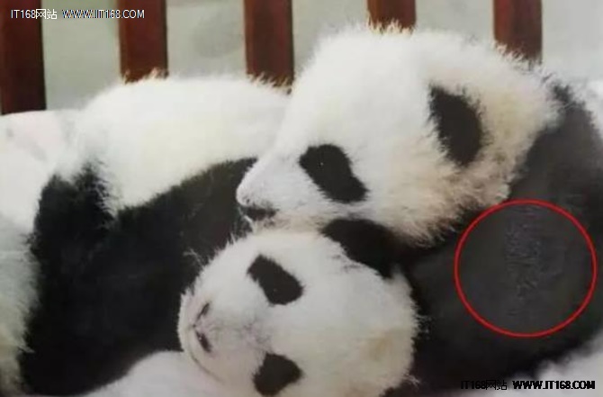 打印出来的照片黑黑的怎么处理,怎么防止打印照片褪色