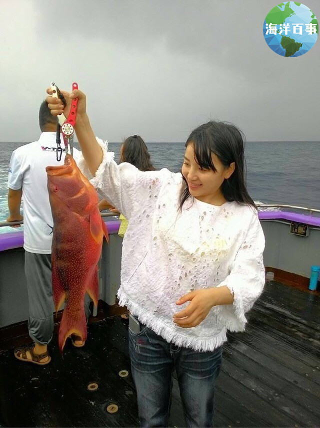 东星斑属于海鲜吗,东星斑海鲜图片