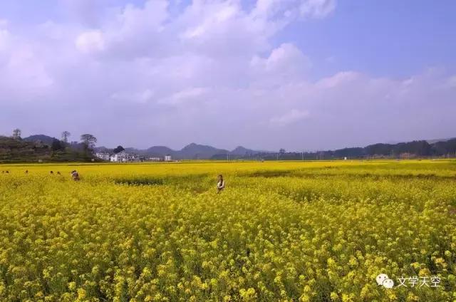 陈玲玲创作的原声,陈玲玲创作