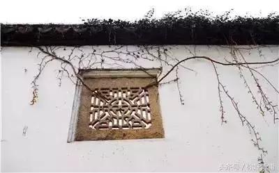 朱家角最美的地方,朱家角真是静心的好地方