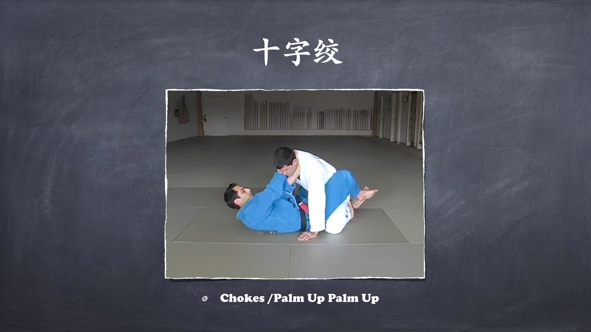 RoyDeans巴西柔术蓝带技术学习大纲