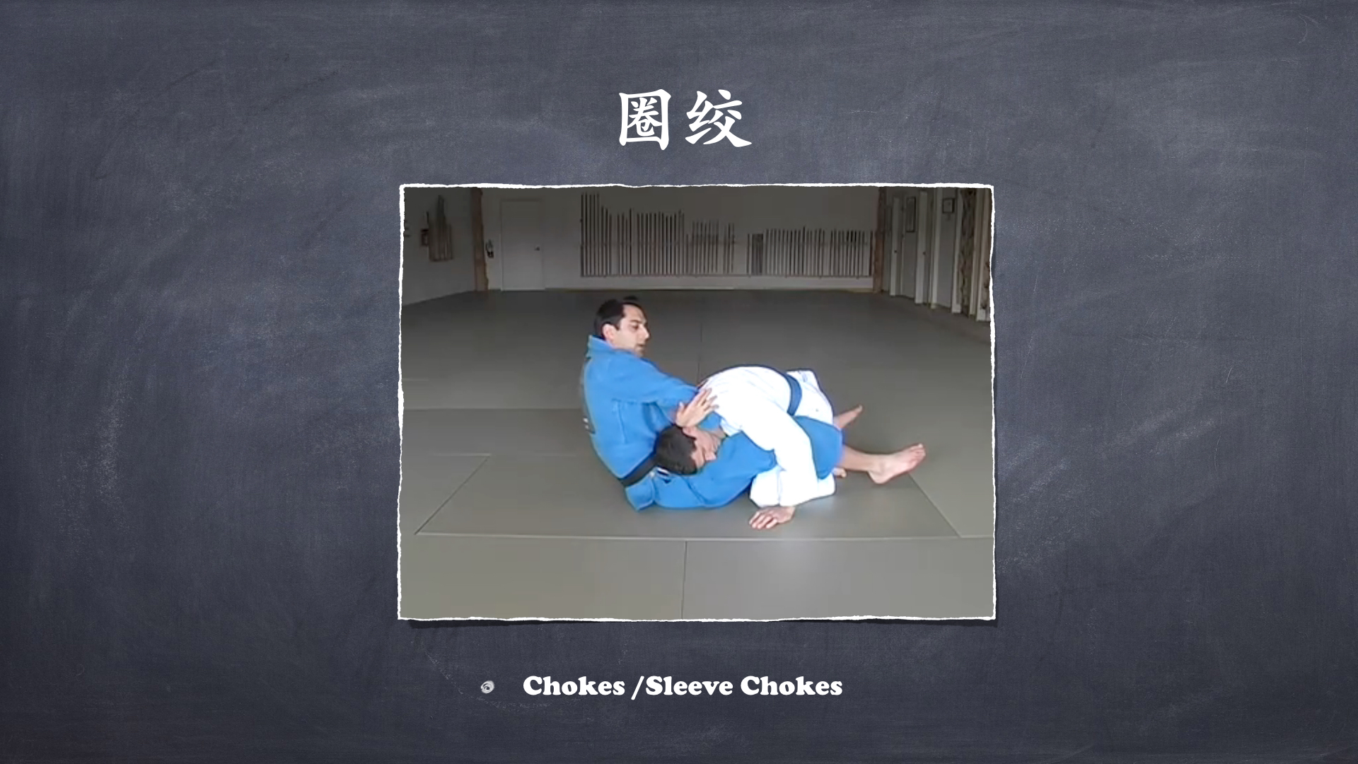 RoyDeans巴西柔术蓝带技术学习大纲