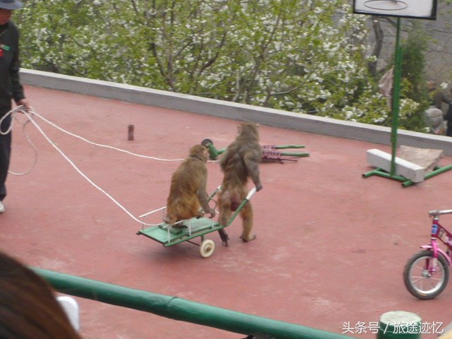 河南太行八里沟,太行八陉景色