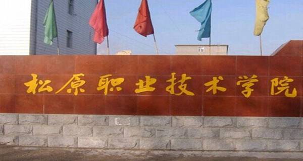 吉林十大专科学校排名,吉林省十大专科好学校