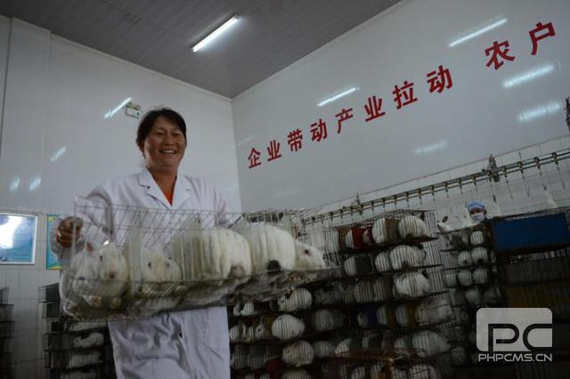 东达集团向沙漠要效益（上）赵永亮和他沙漠里的“中国梦”