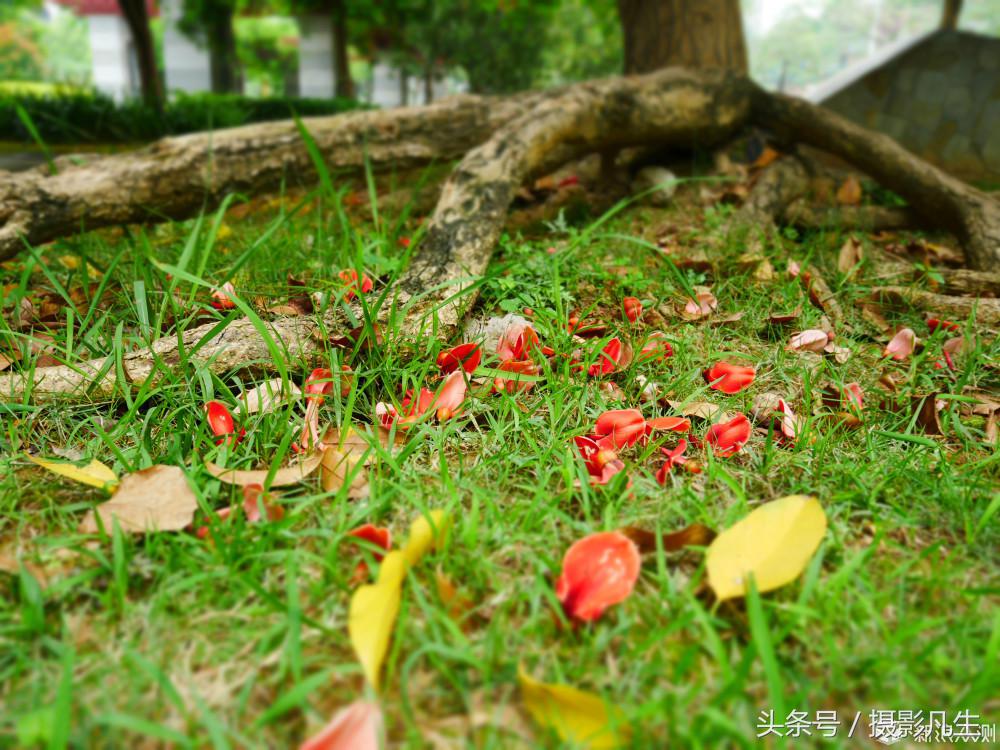 松下gf9值得入手吗,评价松下gf9拍摄视频4k效果