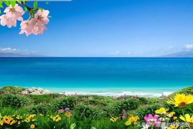 海子的诗全集经典语录,海子的诗从今天起做一个幸福的人