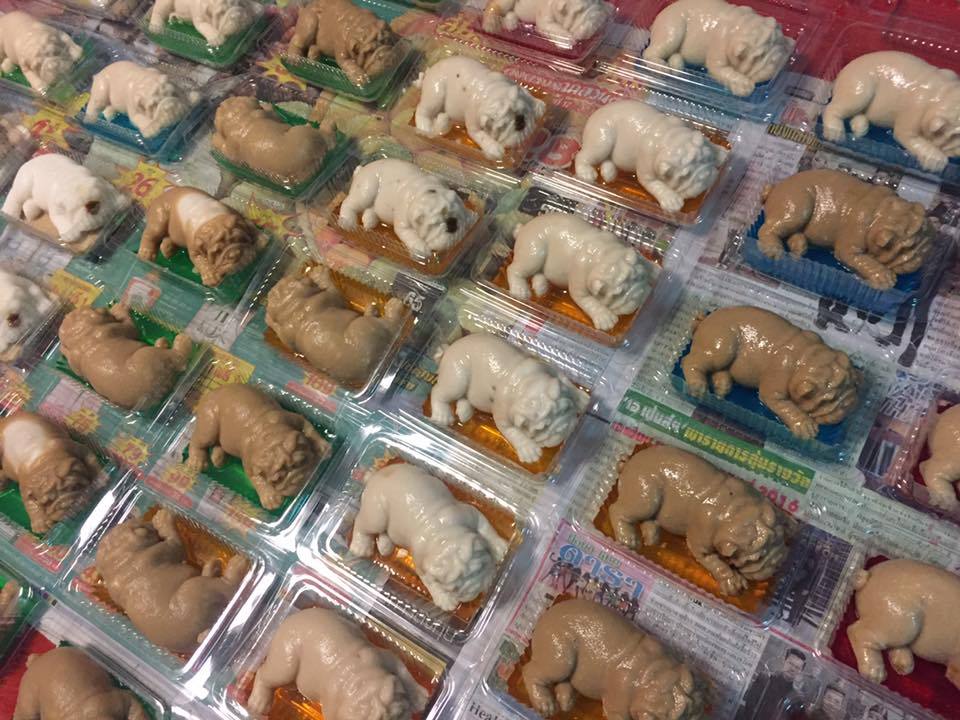 果冻沙皮狗,沙皮狗牛奶果冻