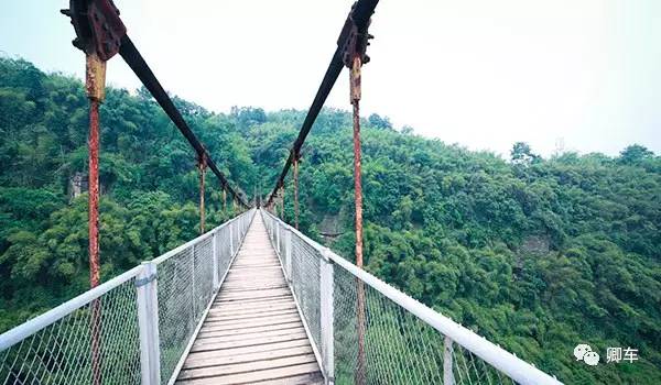 36元起！端午和陈柏霖、林依晨探索高山林海秘境，竹海漫步！