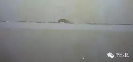 瓷砖贴后“脱皮”！质量问题还是其它原因？