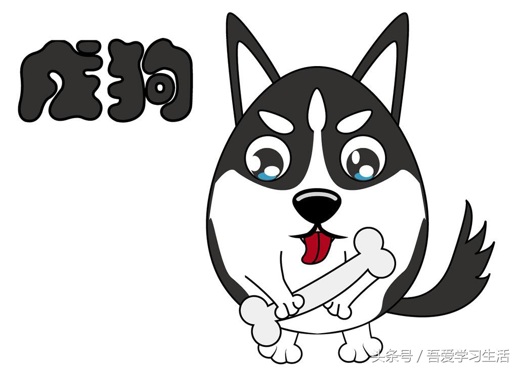 十二生肖婚配表大全最新版,十二生肖婚配口诀大全太准了收藏