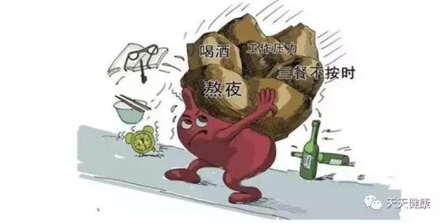 胃癌切除后饮食食谱大全,胃癌腹水饮食应注意什么