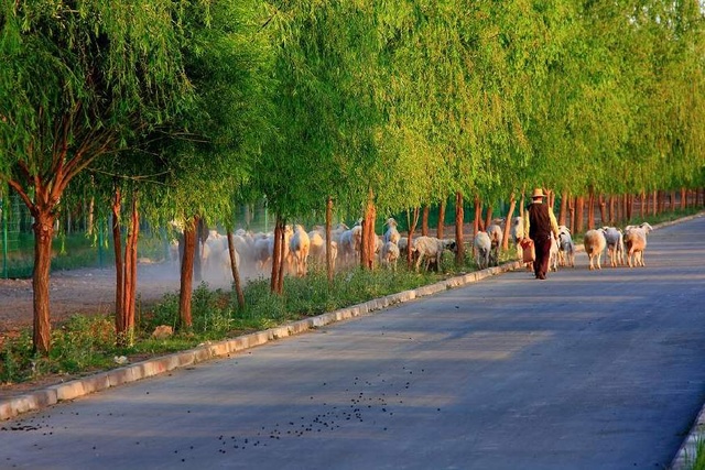 胎教音乐200首必听,胎教音乐100首必备歌