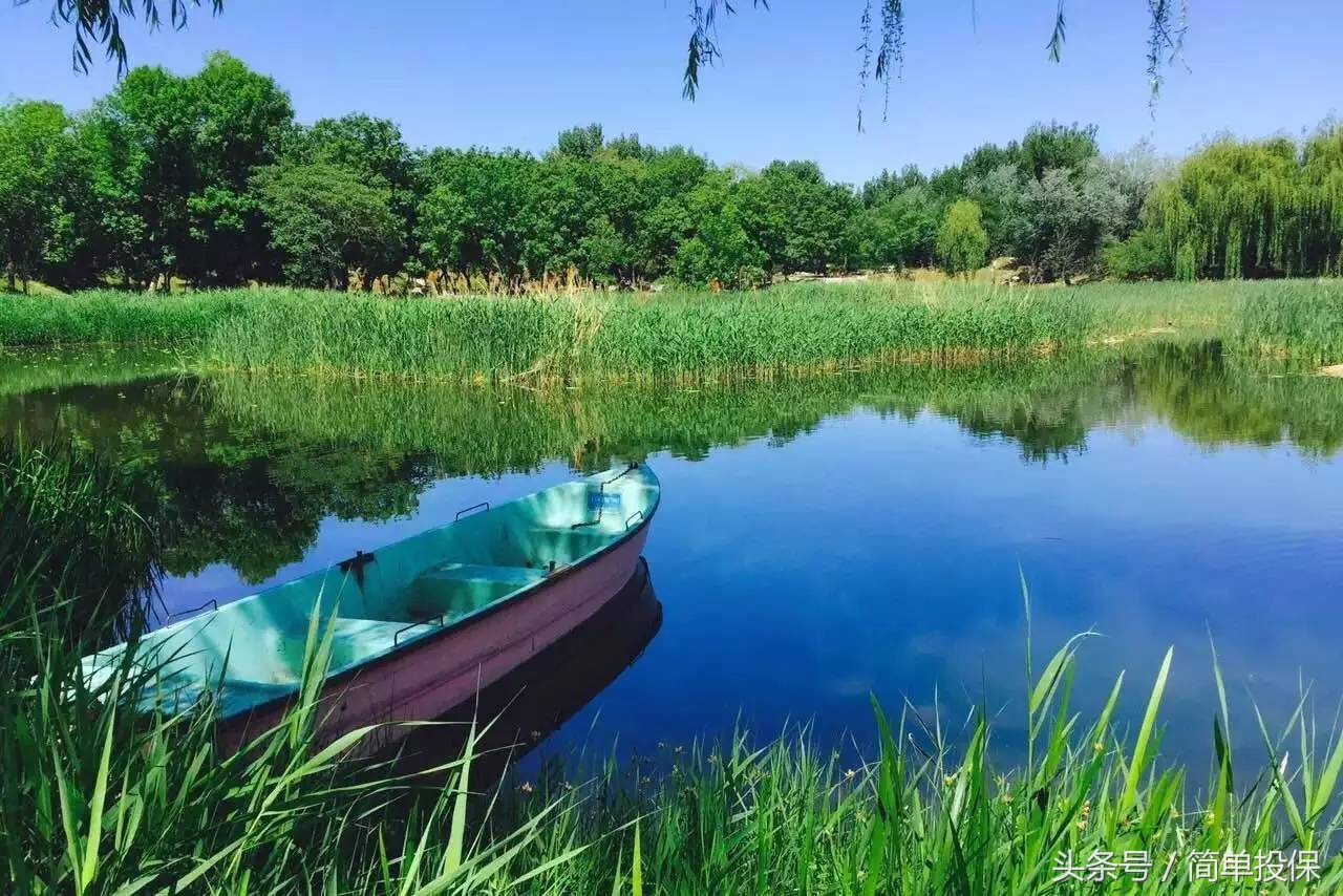 平安万能险最新资讯,平安最早的万能险