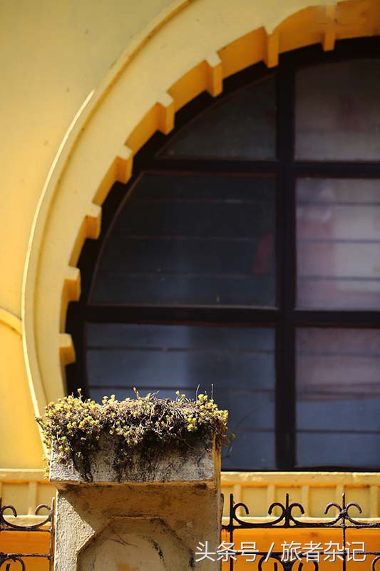 印度大吉岭红茶有几个品牌,印度大吉岭红茶品种