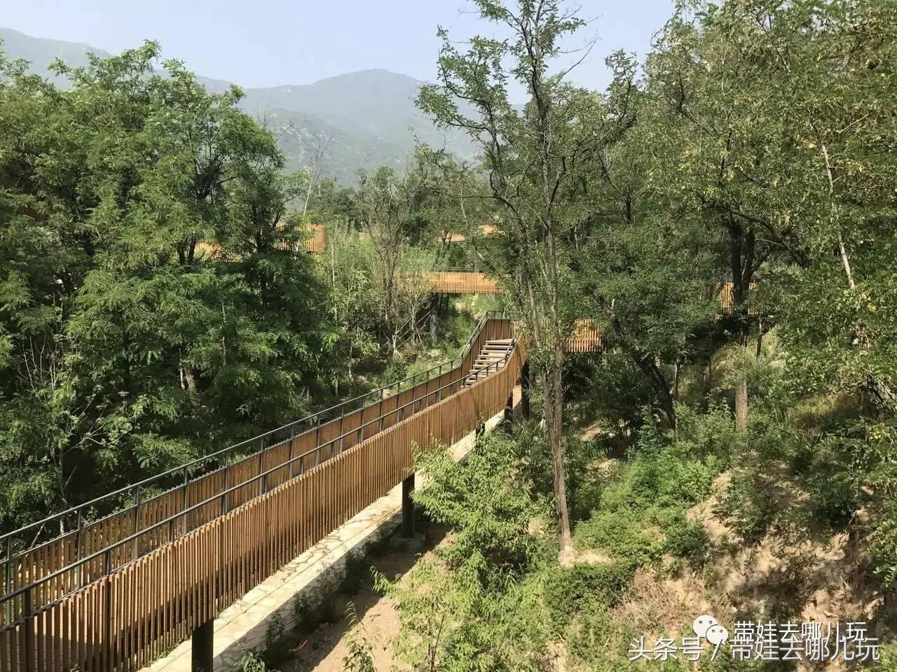 一次薰衣草之旅是如何变成采摘农家乐的?