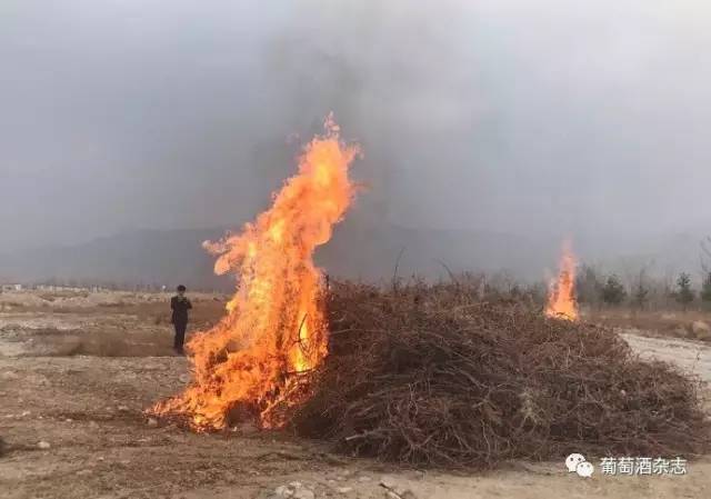 原来葡萄酒是这样喝的,这样的葡萄酒还敢喝吗