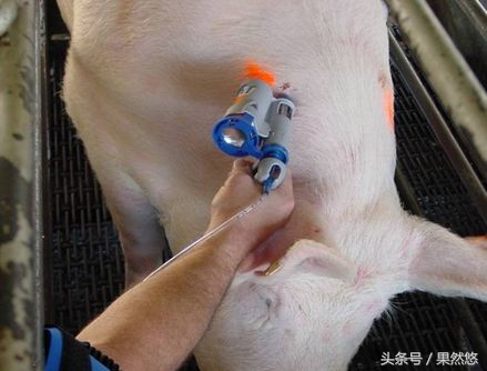 疫苗过敏打脱敏针疫苗还有用吗,疫苗过敏吃氯雷他定