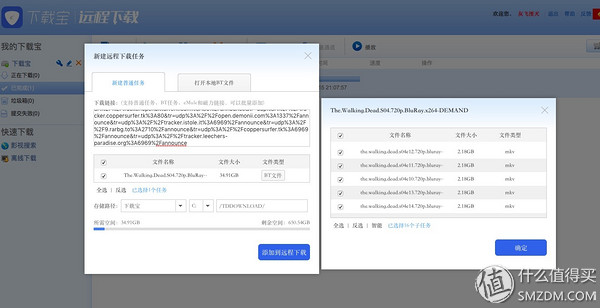 迅雷下载宝硬盘版nas,迅雷下载宝与nas