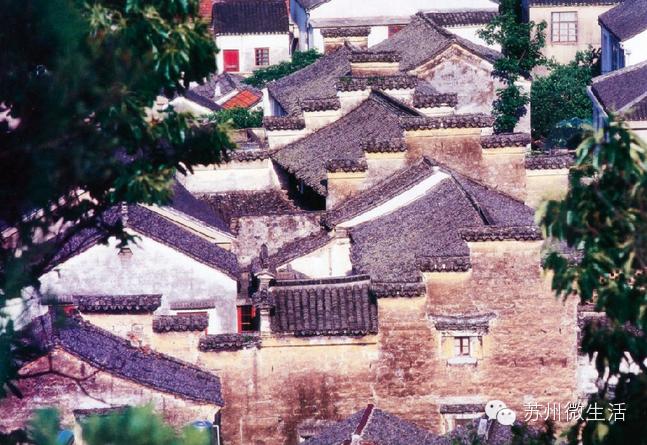 苏州最值得去的五个景点,苏州最值得去的10个景点排名