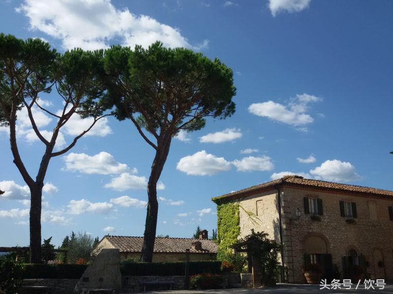 酒庄旅游攻略详细,酒庄游玩有什么项目