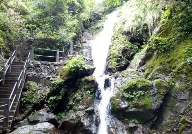 成都周边免费森林自然景点,成都森林避暑好去处