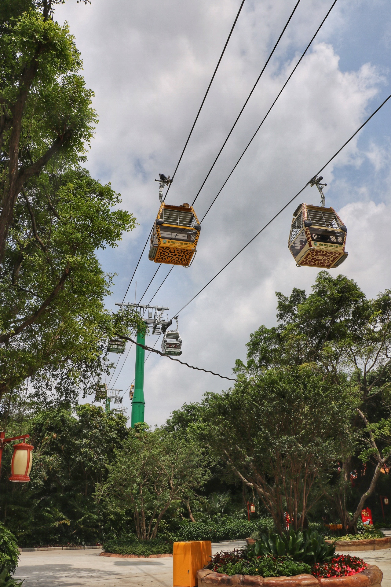 一月广州长隆野生动物园游玩攻略,长隆海洋王国不可错过