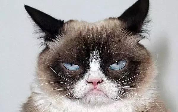 若“封号风波”是对抗刷单，只能说Airbnb本土化前路漫漫