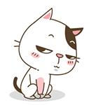 倩碧腮红跟砍妹腮红哪个粉质好,适合初学者的腮红颜值推荐