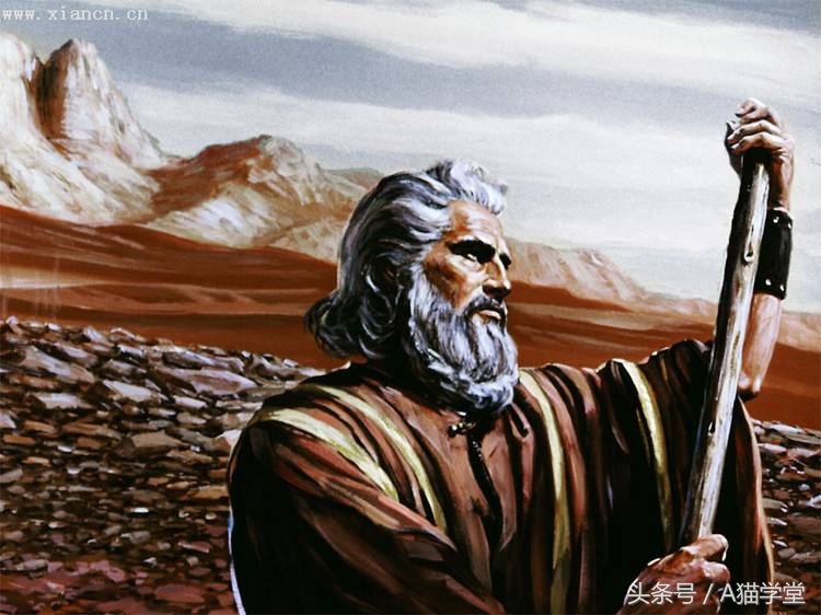 又到了考英语四六级的日子,四六级英语考试的重点词汇