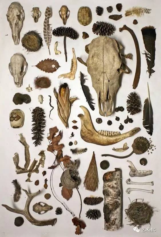 大英博物馆柜子,大英博物馆家具是什么