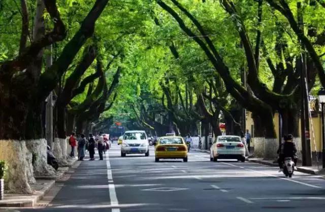 南京的夏天是个美丽的地方,南京的夏天依旧很美