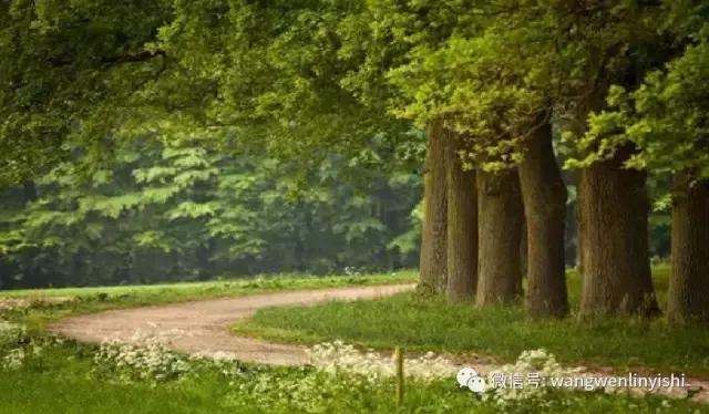 肋骨呈叉状肋属于胸廓畸形吗,肋骨骨折畸形愈合就是胸廓畸形吗