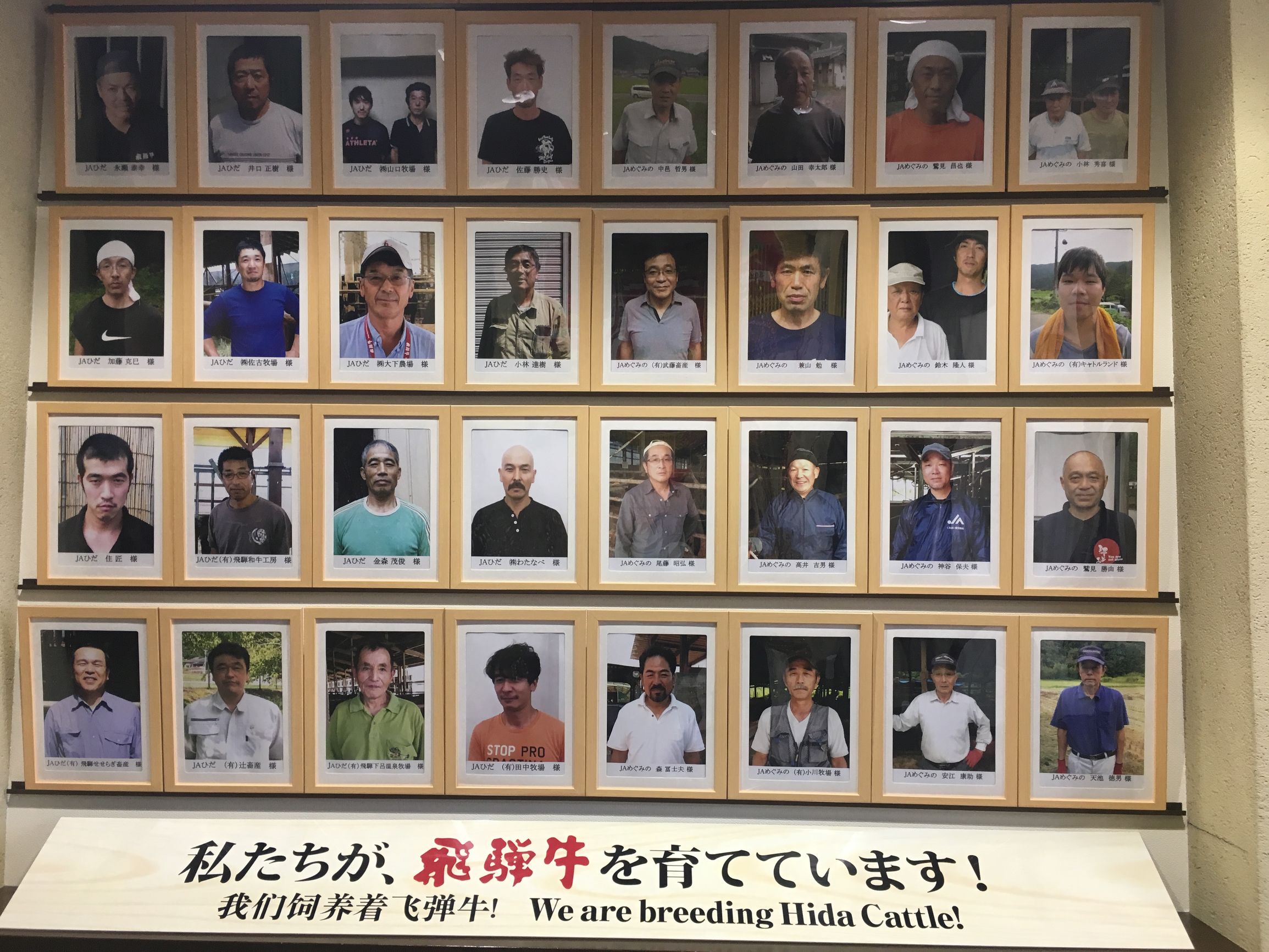 说走就走的东京行,说走就走的东京之旅