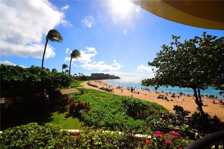 骨灰级探险视频,水上运动场夏威夷maui岛浮潜