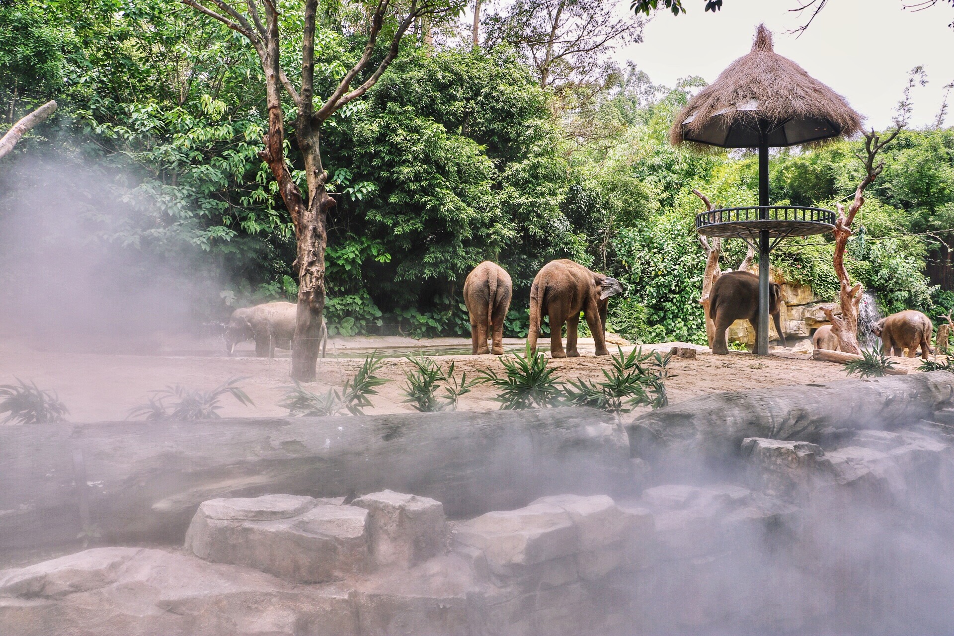 一月广州长隆野生动物园游玩攻略,长隆海洋王国不可错过