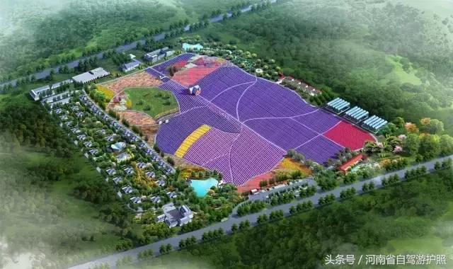 郑州普兰斯薰衣草庄园开门了吗,普兰斯薰衣草庄园能去吗