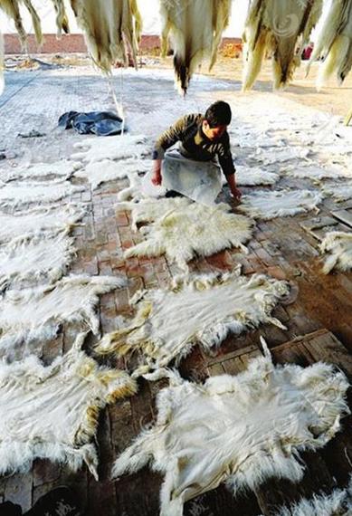 山西吕梁交城县特产,吕梁交城县有什么土特产