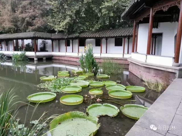 杭州西湖古典园林郭庄,杭州郭庄古风景区