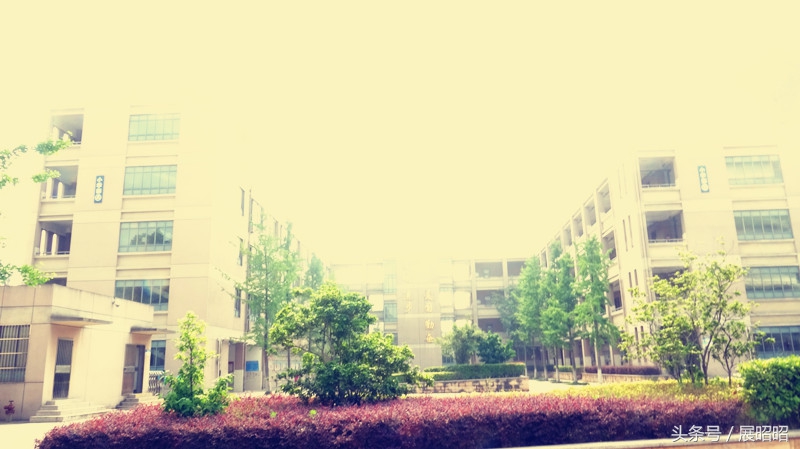 合肥中科大附属中学在哪,合肥中科大附属中学是公立学校吗