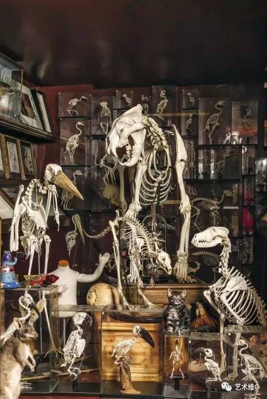 大英博物馆柜子,大英博物馆家具是什么