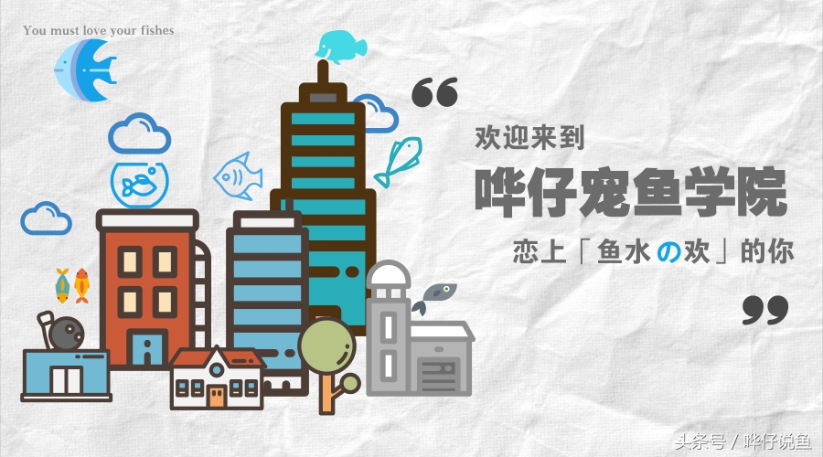 宠物鱼玩家高考开始啦！到目前为止，全国只有一人满分！