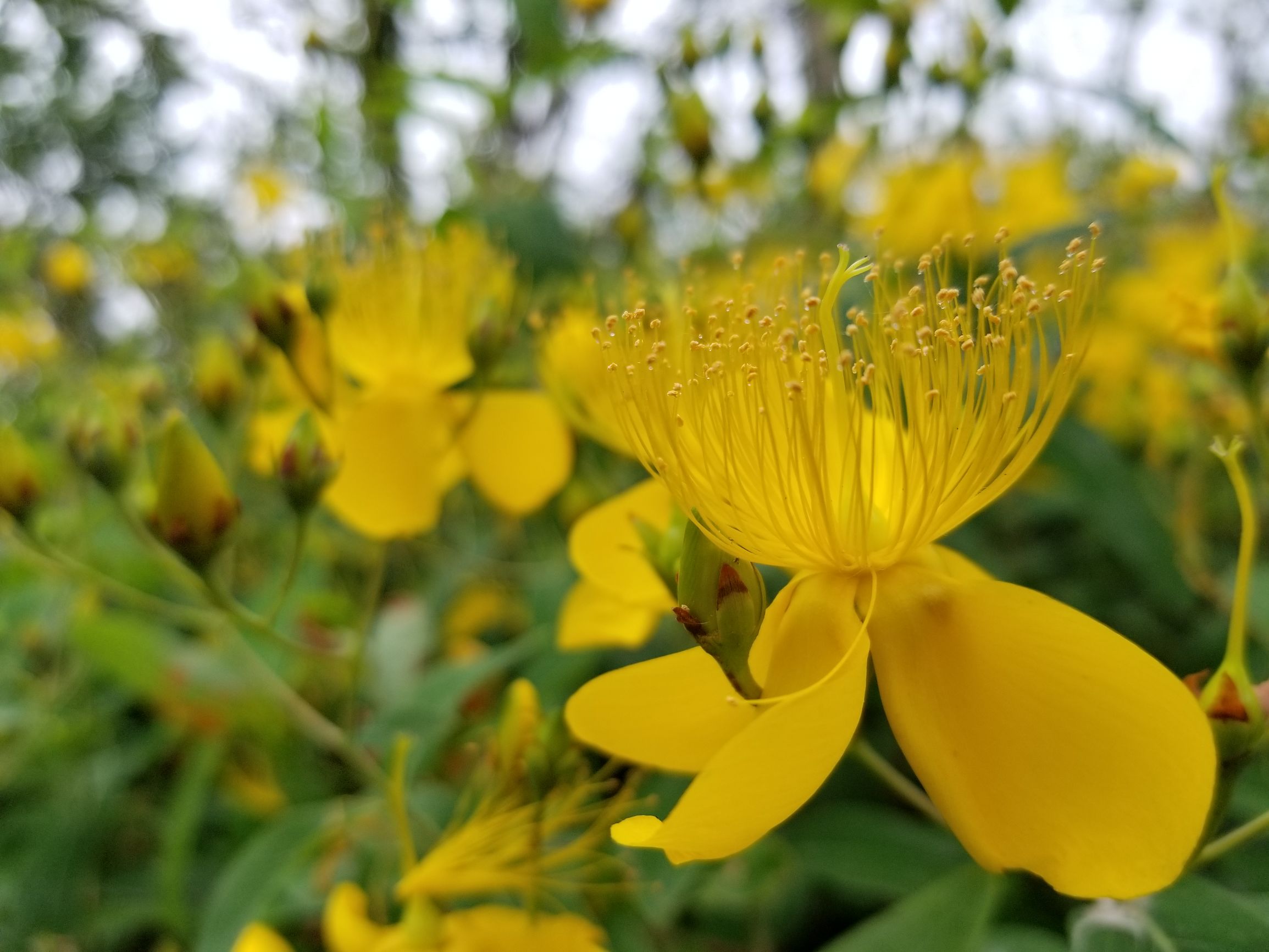 三星盖乐世s8解锁不了,盖乐世s8发布会