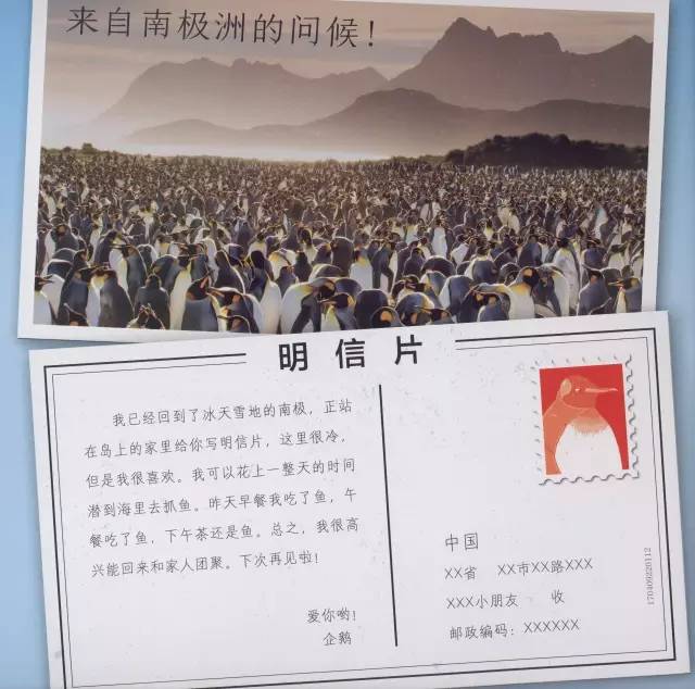 又好玩又有趣的绘本爱不释手,科普绘本推荐7-12岁科普绘本